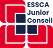 ESSCA Junior Conseil